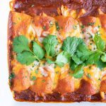 Cheesy Shredded Chicken Enchiladas | Easy, Authentic, Homemade Mexican Recipe