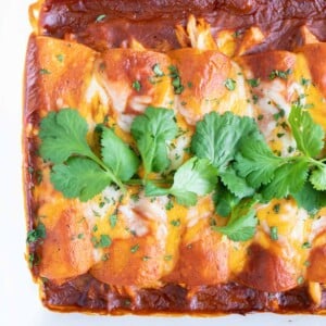 Cheesy Shredded Chicken Enchiladas | Easy, Authentic, Homemade Mexican Recipe