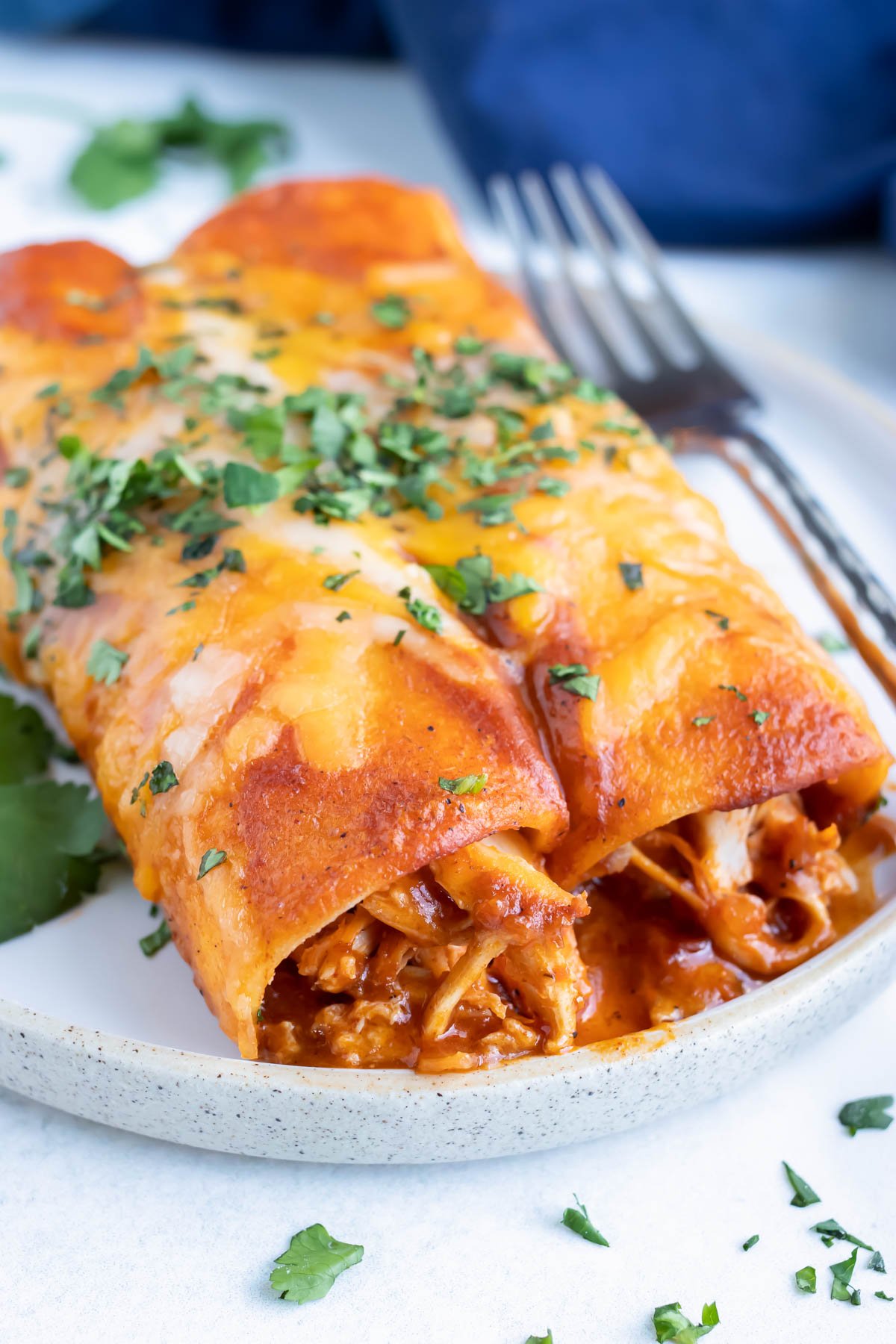 A classic and authentic Mexican enchilada recipe with shredded chicken and cheddar cheese that is topped with cilantro.