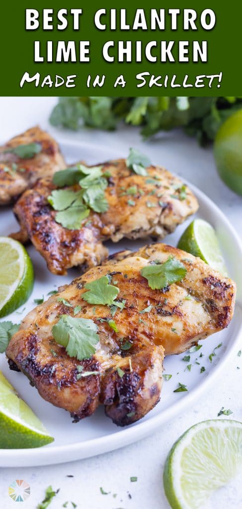 Fresh cilantro is put on top of the tender cilantro lime chicken thighs.