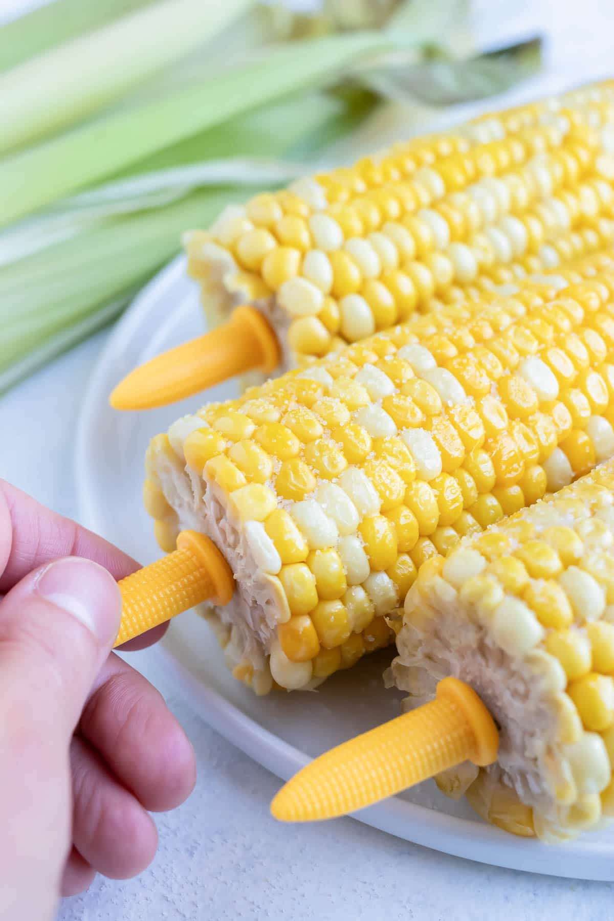 Yellow plastic corn cob holders are used to help hold the corn.