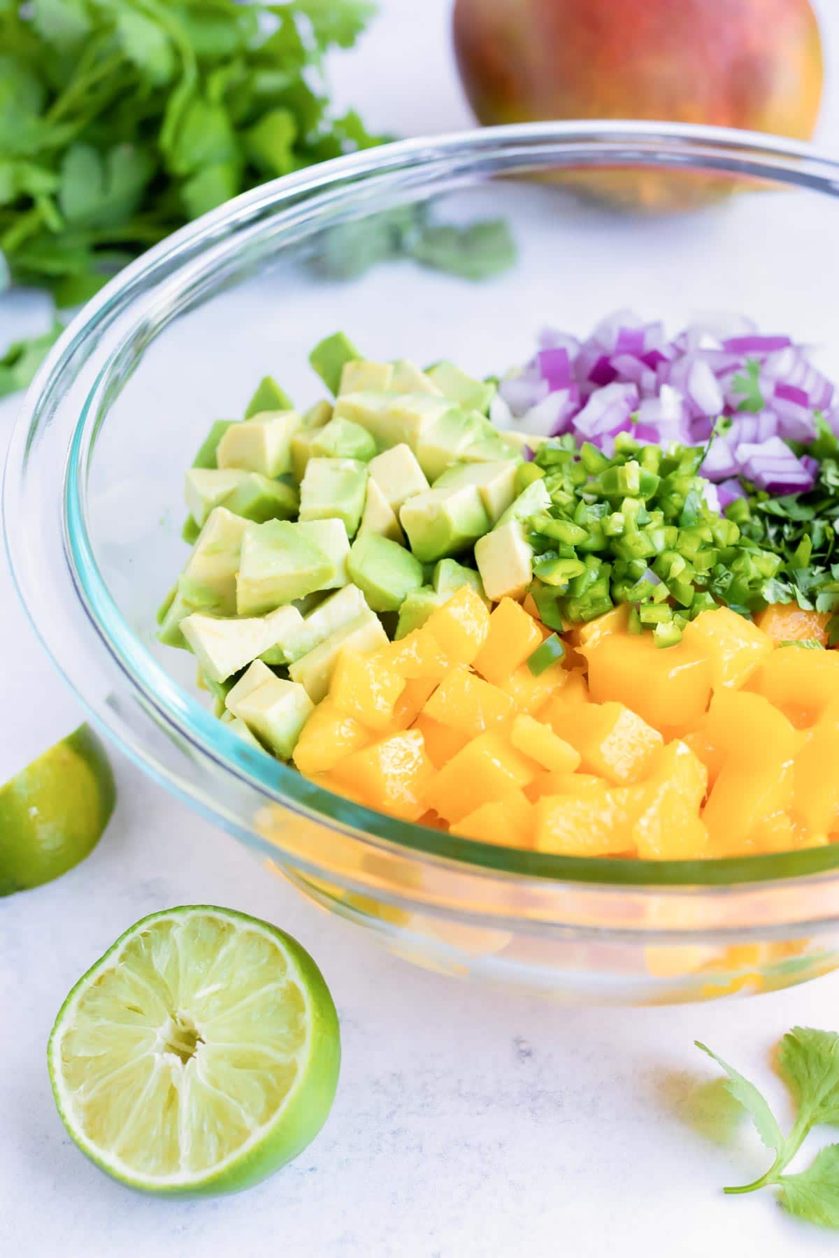 A large bowl full of diced mango, avocado, red onion, cilantro, and jalapeno for a salsa recipe.