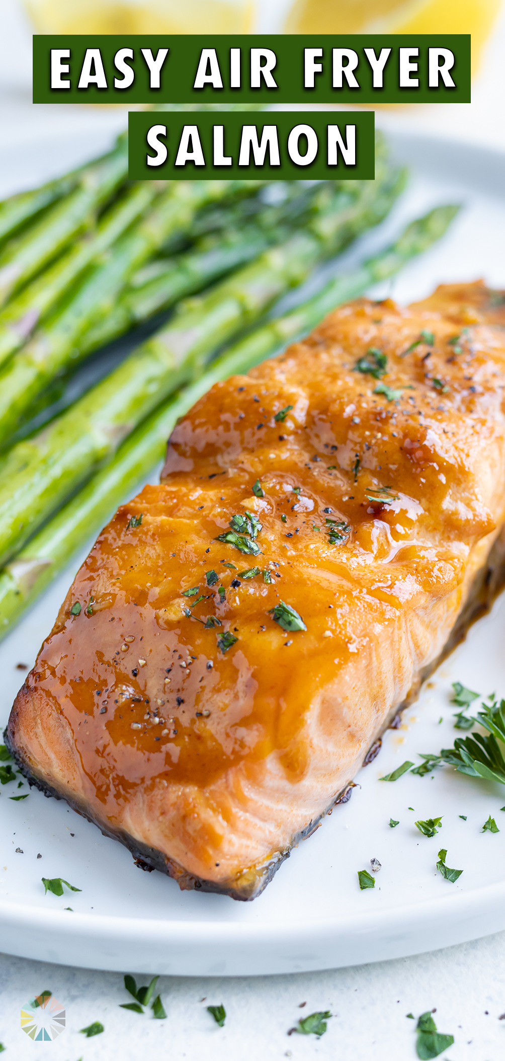 Air Fryer Salmon Recipe - Evolving Table