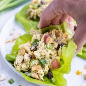 Curry chicken salad is picked up and eaten.