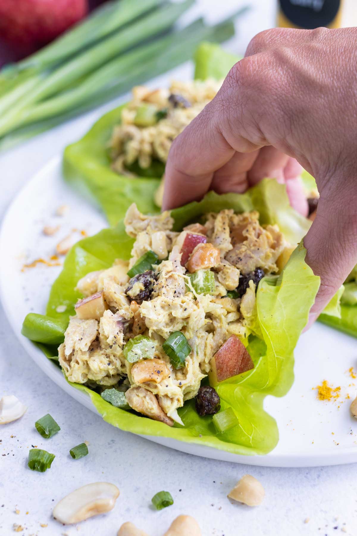 Sweet Spicy Curry Chicken Salad with Cranberries and Red Onions 