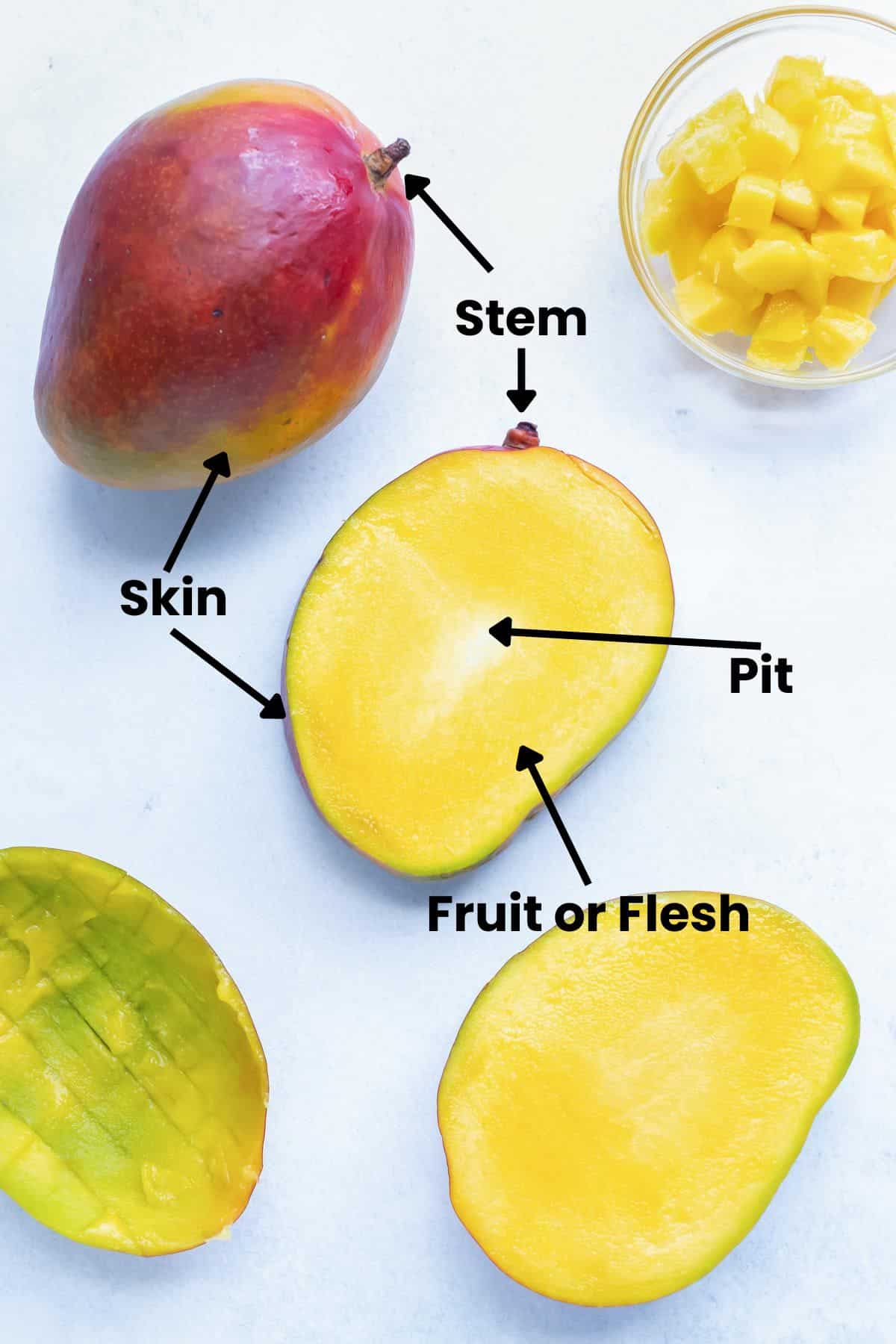 A drawing with arrows showing the oblong pit, peel or skin, flesh or fruit, and stem of mangoes.