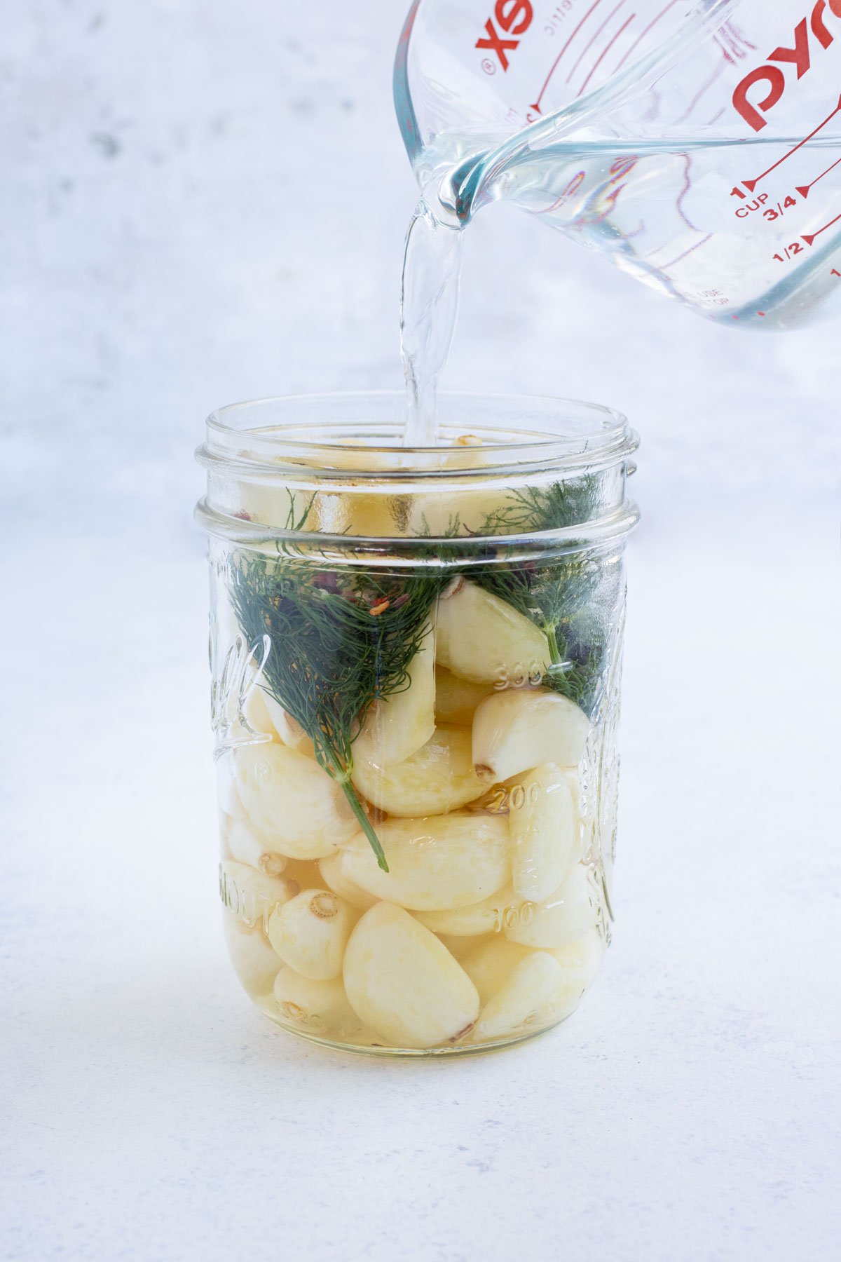 Brining solution is poured over garlic, dill, and peppercorns.