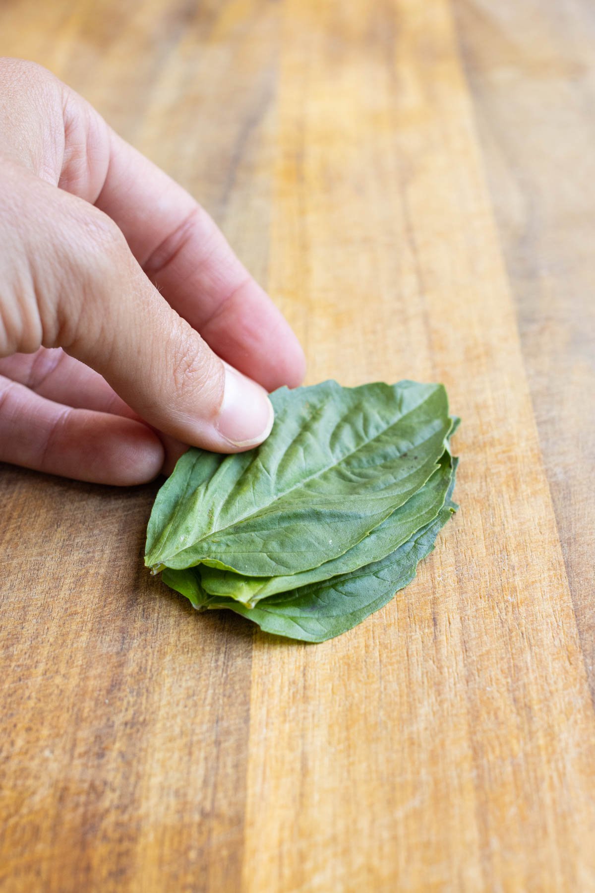 Basil leaves are stacked on top of each other.