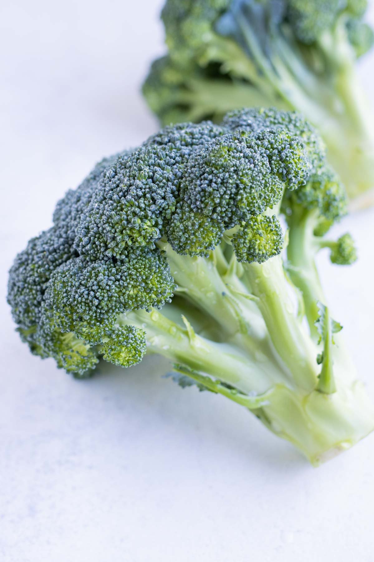 Broccoli is an easy and healthy side dish.