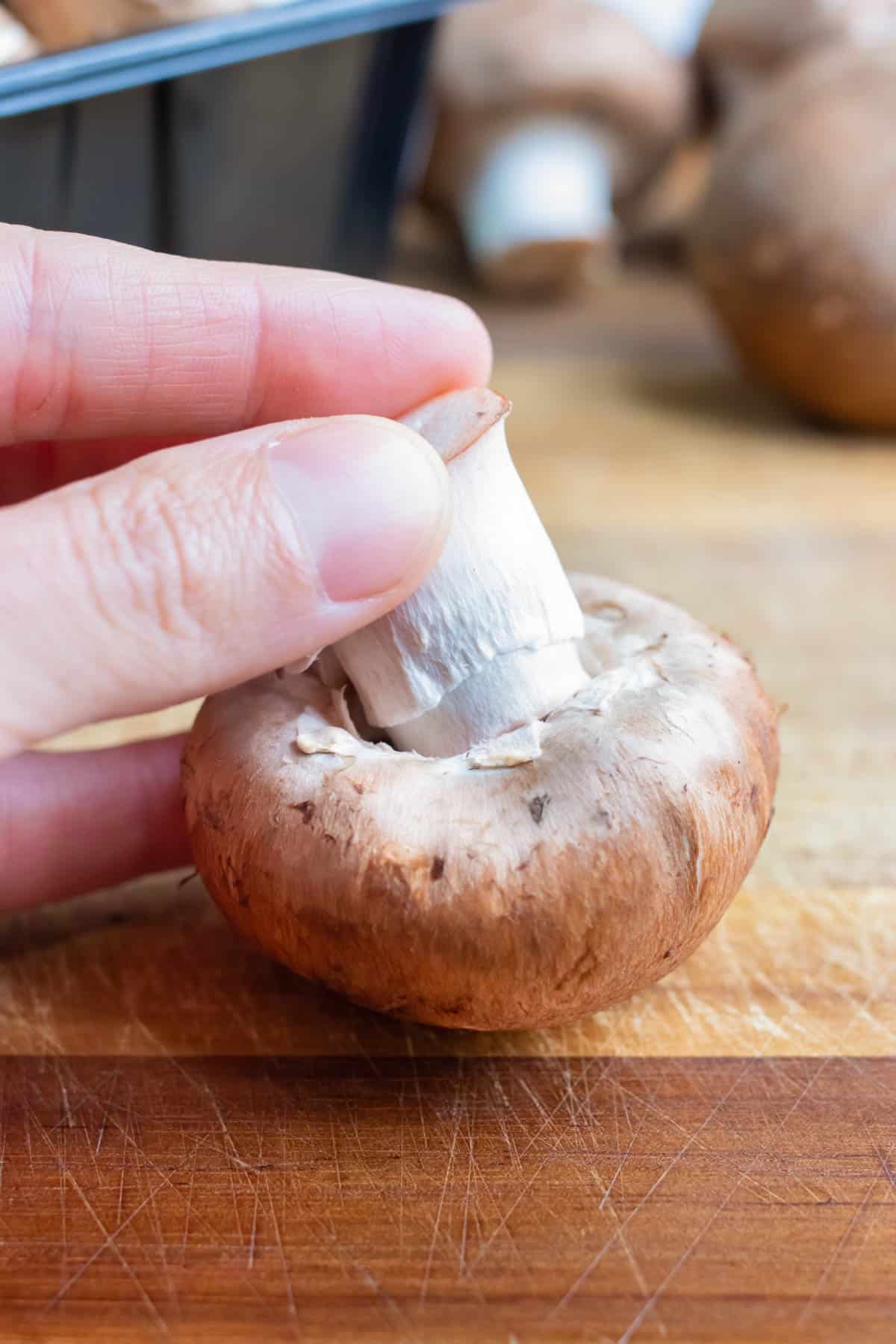 The stem of the mushroom is grabbed by your fingers before removing.