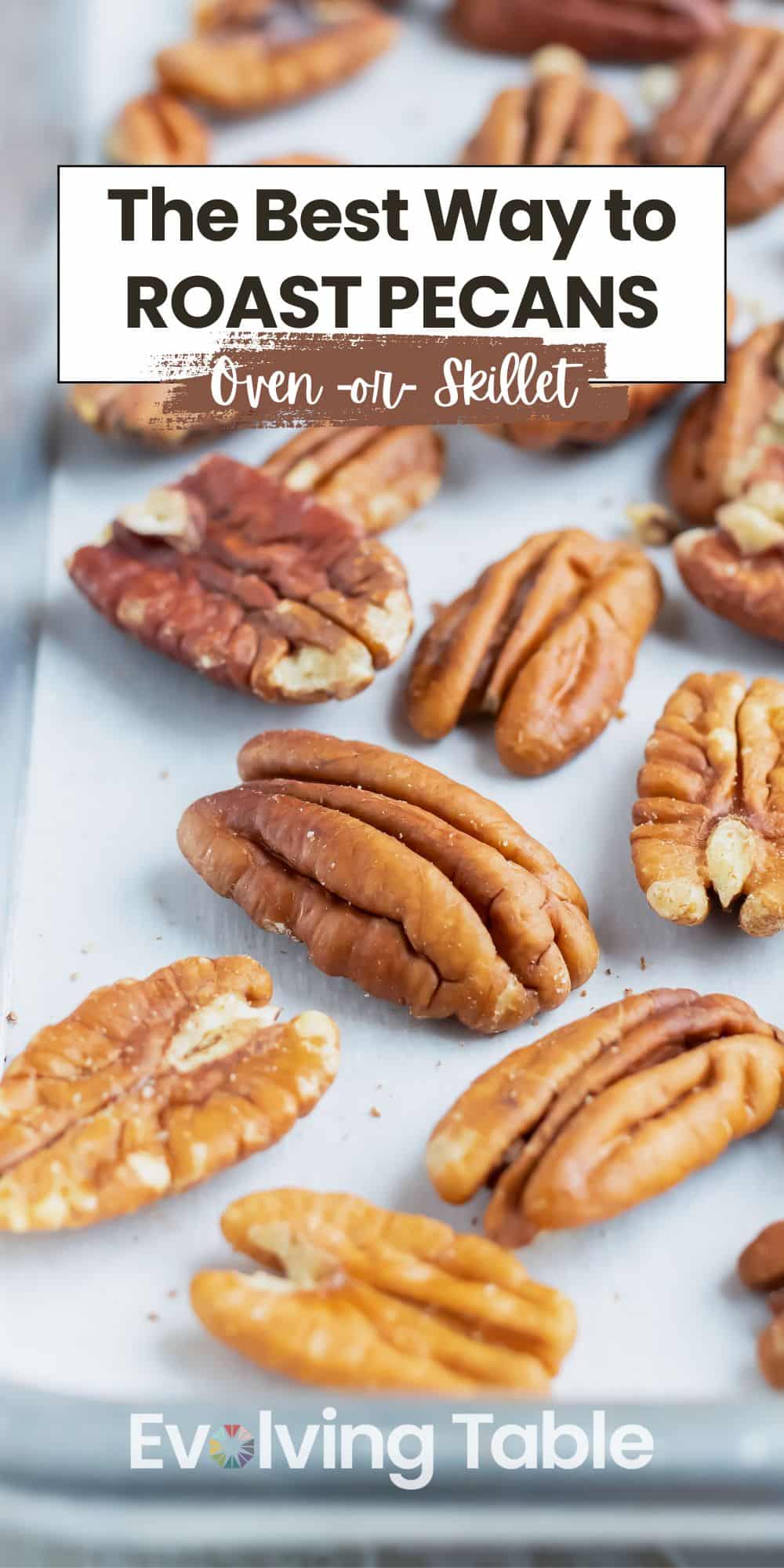 Roasted pecans on a sheet pan that were baked in an oven.