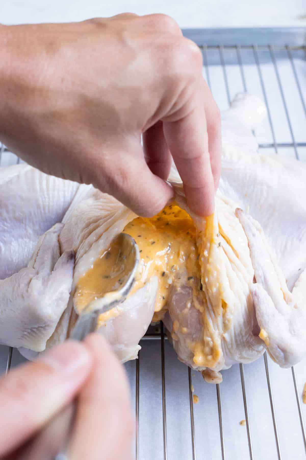 Seasoned butter is pressed under the skin to season a chicken.