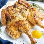 Season spatchcock chicken with garlic herb butter and lemons.