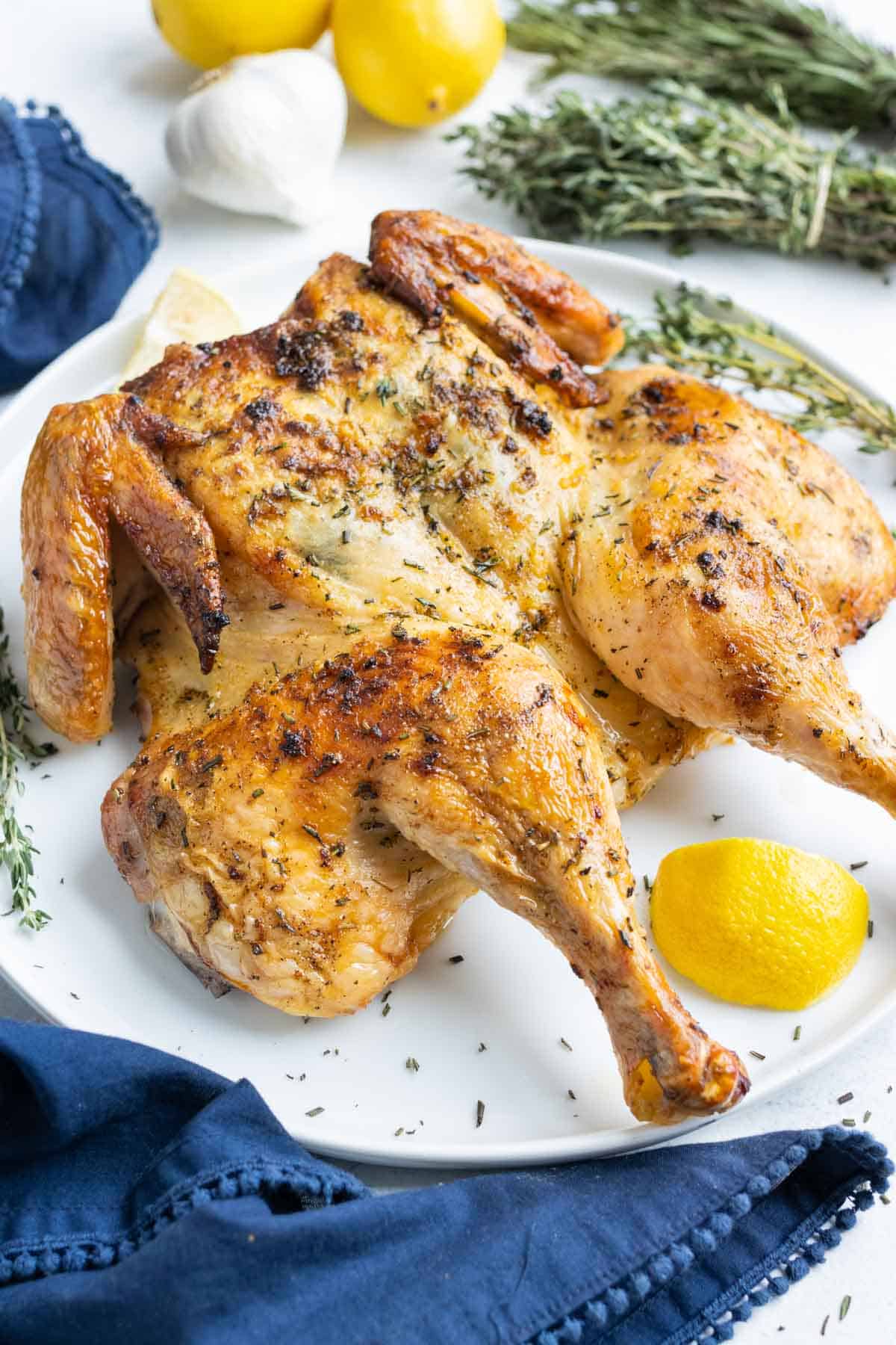 Season spatchcock chicken with garlic herb butter and lemons.