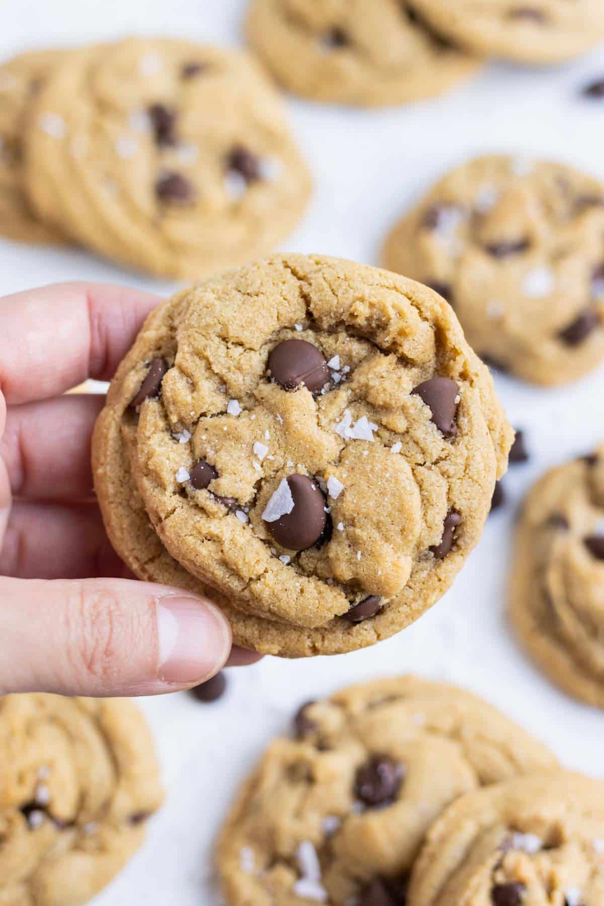 A close up shot of a peanut butter chocolate chip cookie.