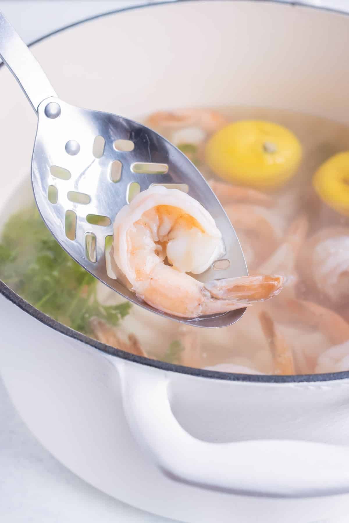 The shrimp is cooked until pink in the water and lemon mixture.