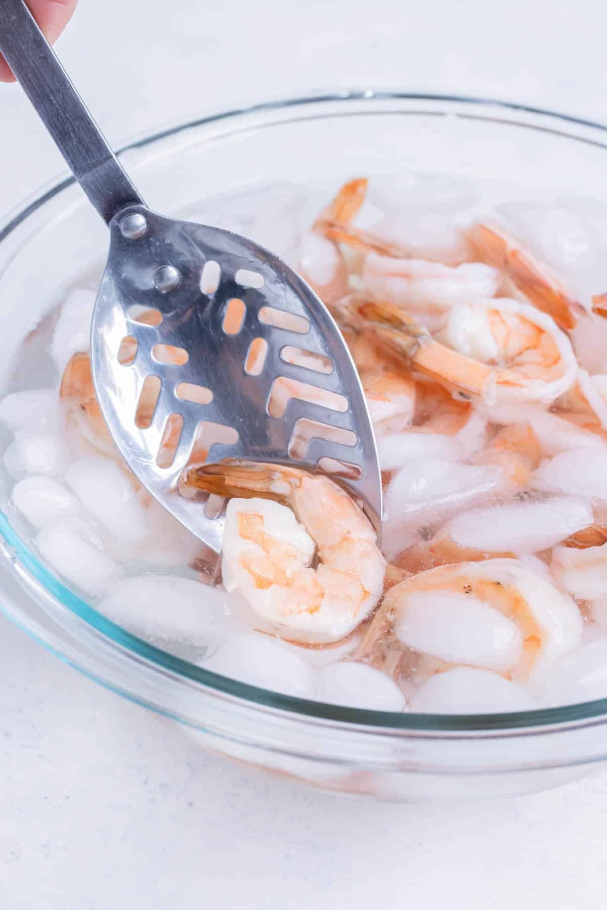 Shrimp is transferred into an ice bath.