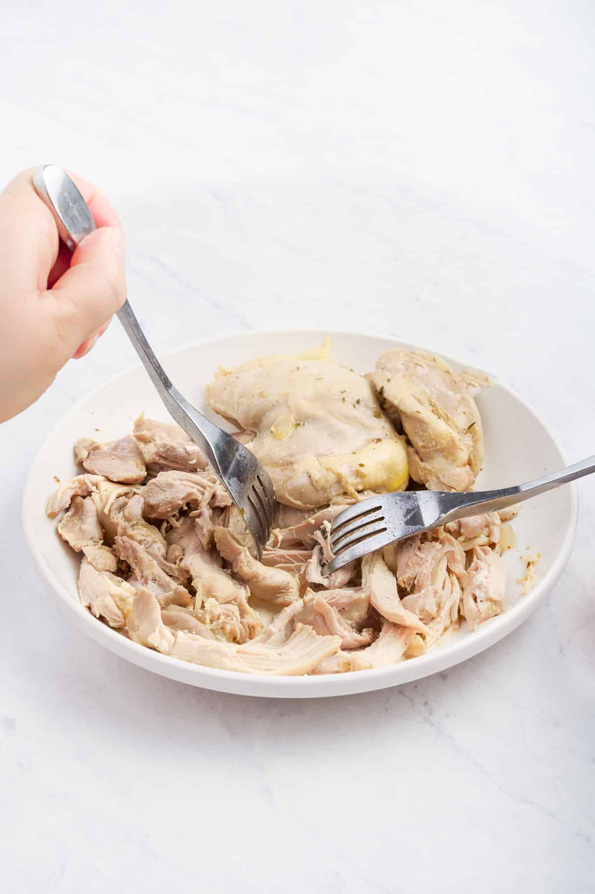 Two forks shredding chicken on a plate.