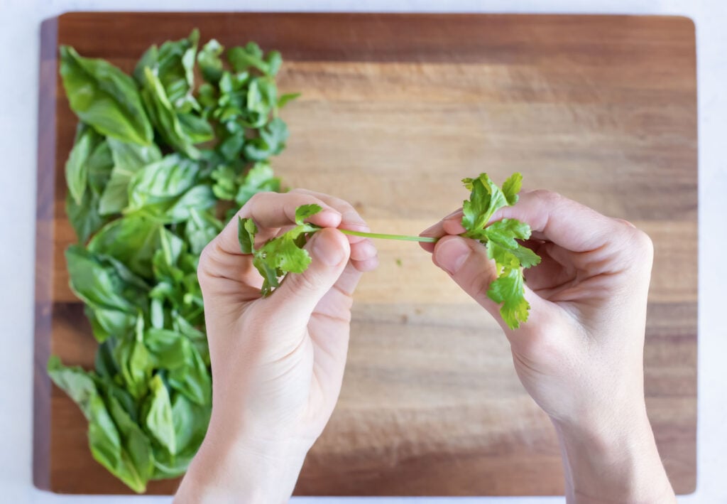Vietnamese Fresh Spring Rolls Recipe - Evolving Table