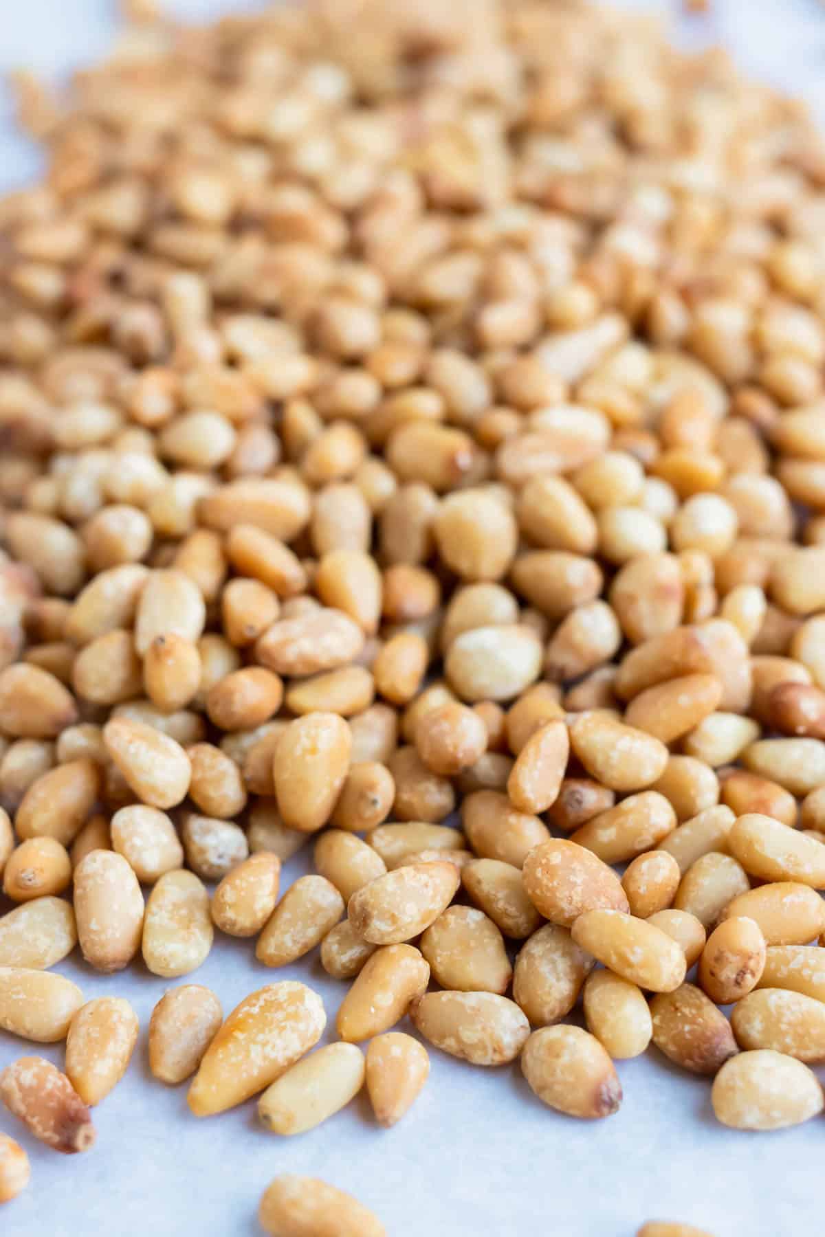 Toasted pine nuts on a sheet pan with parchment paper.