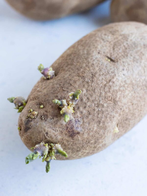 One potato with sprouts.