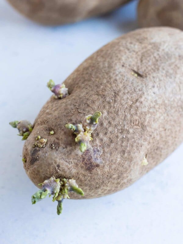 One potato with sprouts.