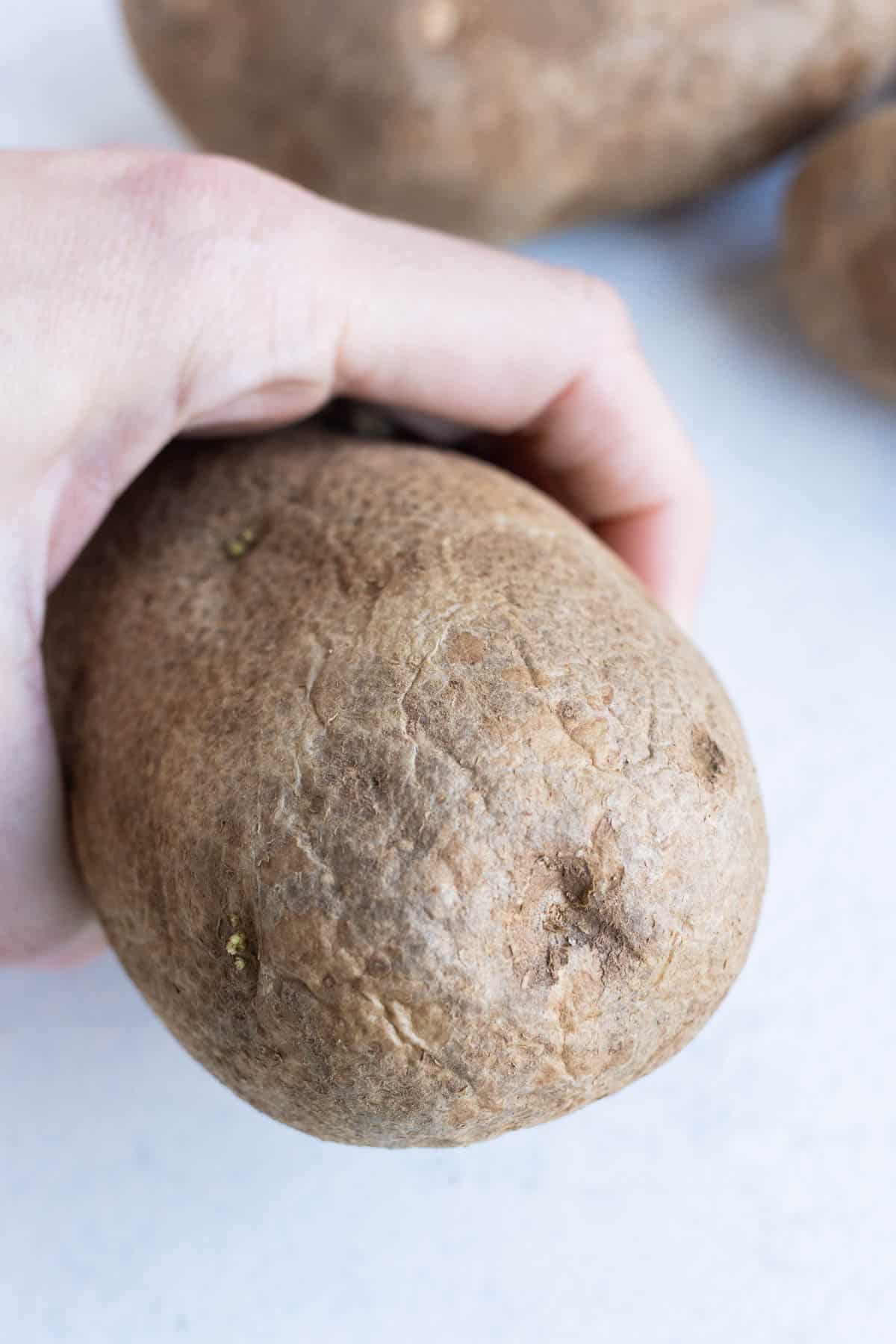 Someone holding a potato with marks and dark spots.