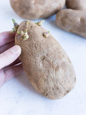 Are Sprouted Potatoes Safe to Eat? - Evolving Table