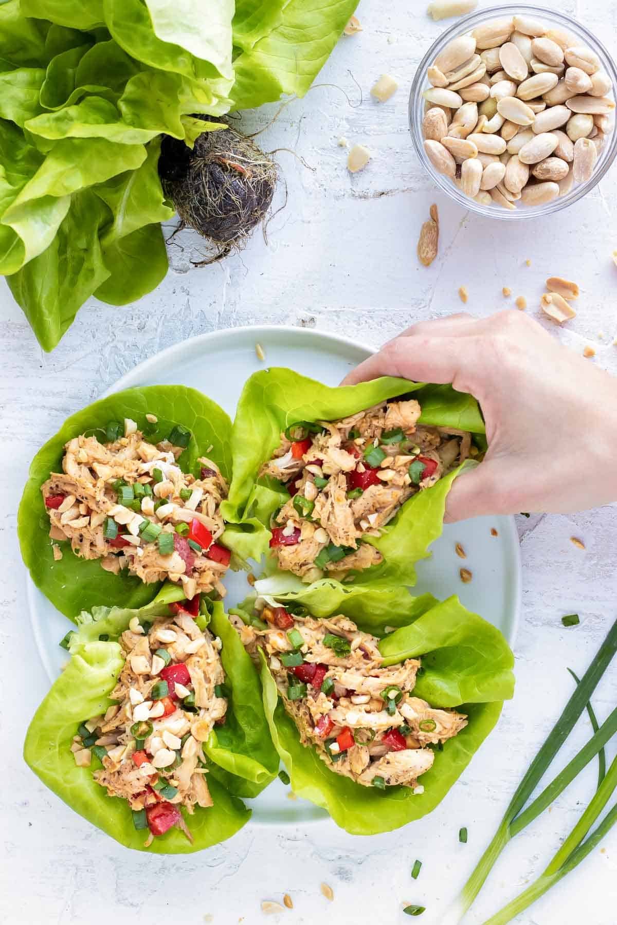 A hand picking up a chicken lettuce wrap from a white plate.