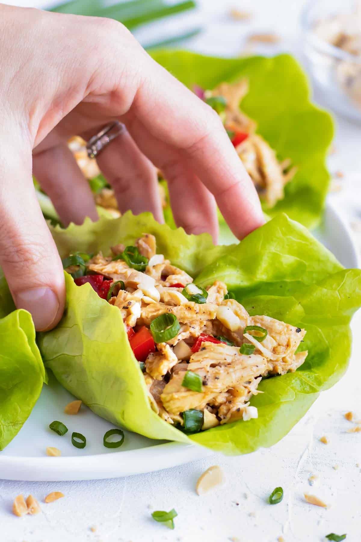 A hand picking up a healthy lettuce wrap that is full of shredded chicken and an Asian sauce.