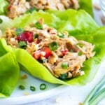Shredded chicken lettuce wraps with an Asian peanut sauce are served on a white plate.