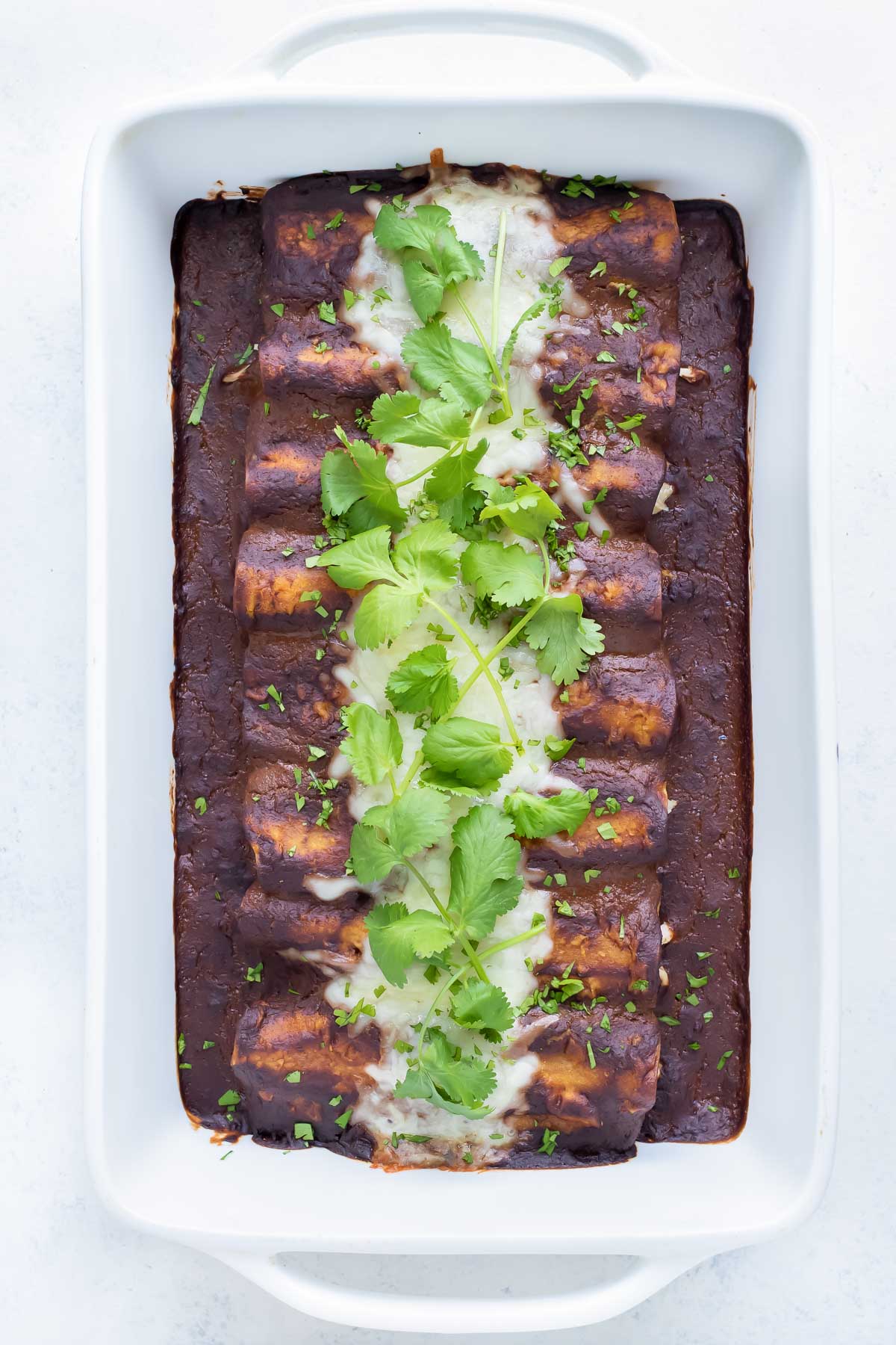 Easy Chicken Mole Enchiladas are topped with fresh cilantro for dinner.