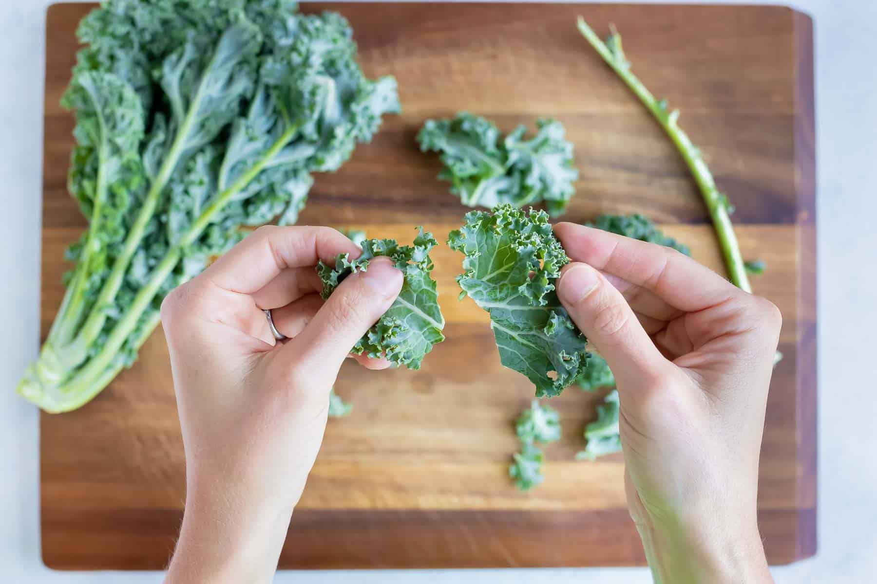 The fresh kale leaves are ripped into large chunks.
