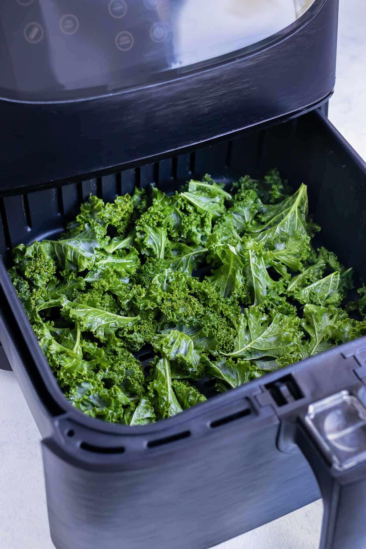 The kale chips are laid flat in one layer in the air fryer.