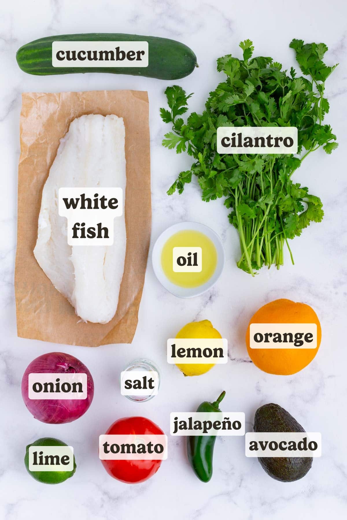 Fish, cilantro, citrus, onion, peppers, and salt are the ingredients for this ceviche dish.
