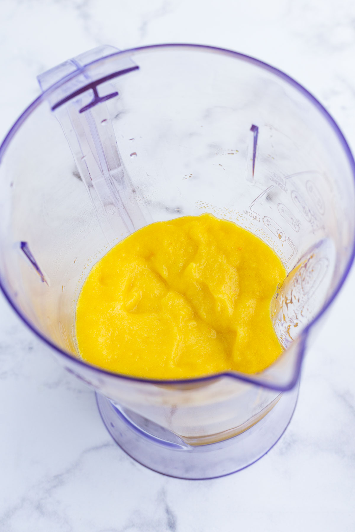 The sorbet mixture is blended until smooth.