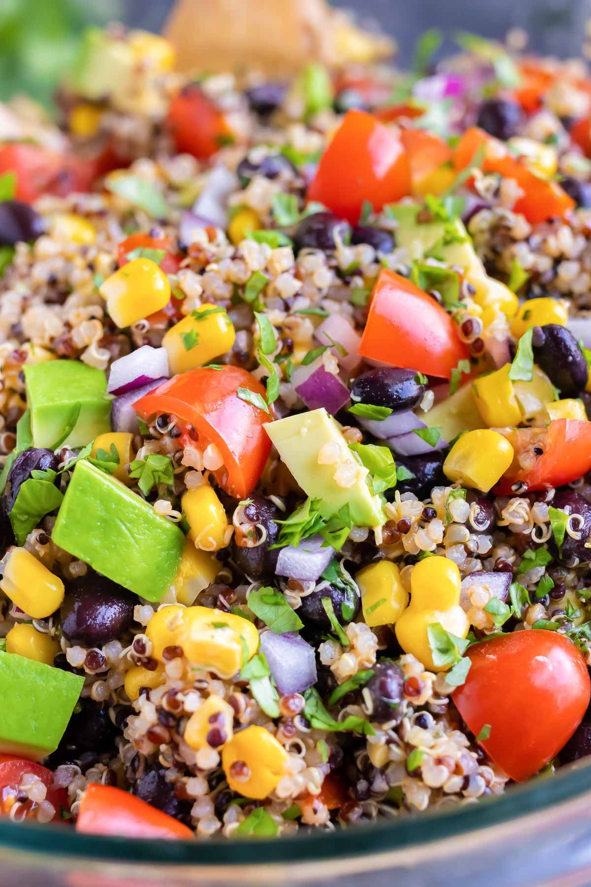 A quick and easy quinoa salad recipe with Mexican spices, avocado, and black beans.
