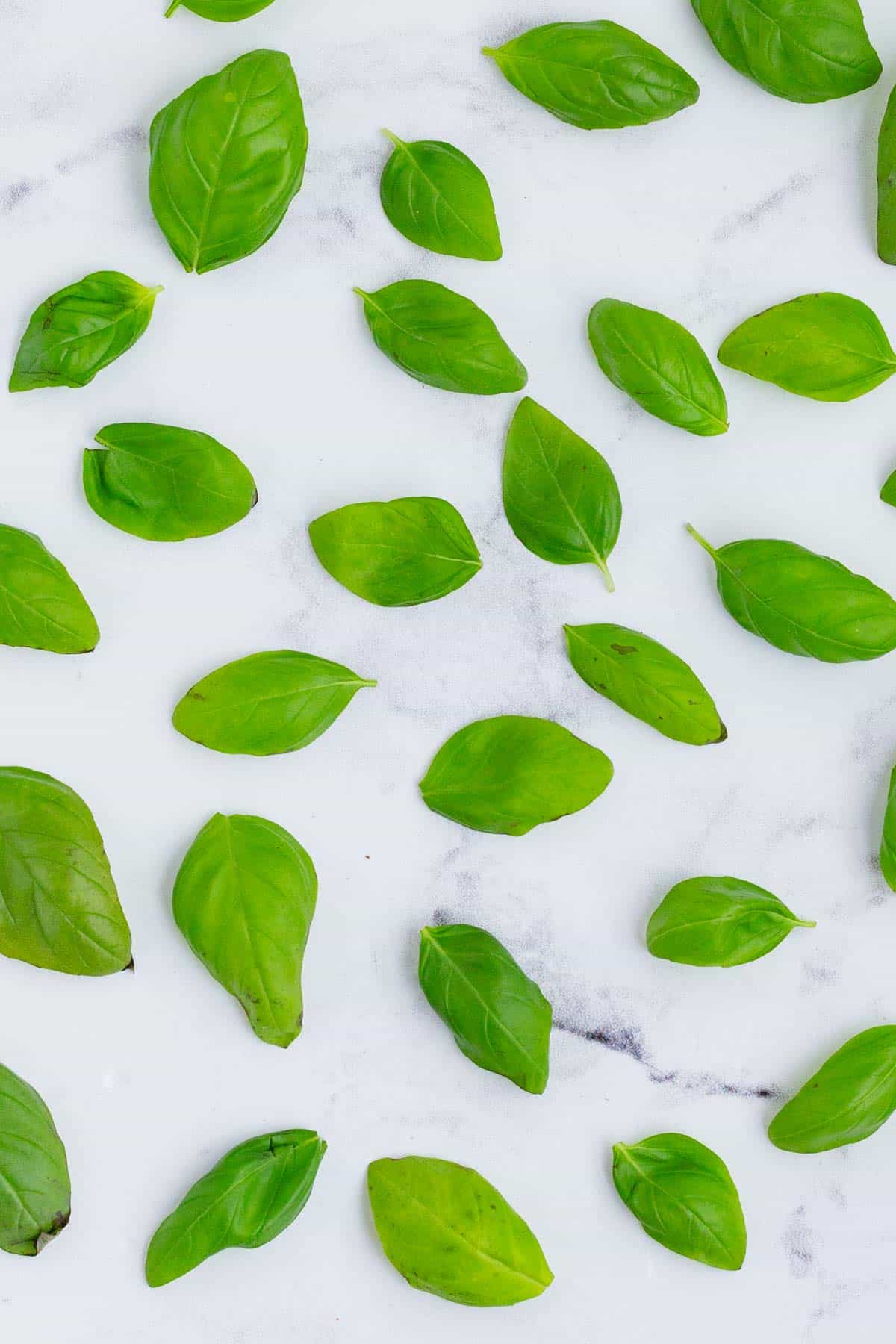 You can easily air dry basil leaves on the counter.