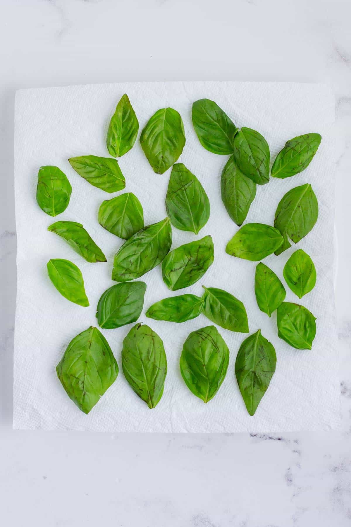 You can easily air dry basil leaves on the counter.