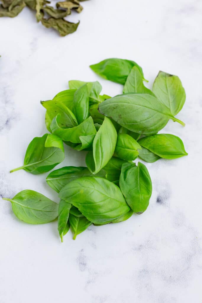 Fresh basil leaves loosely laid out on a kitchen counter.