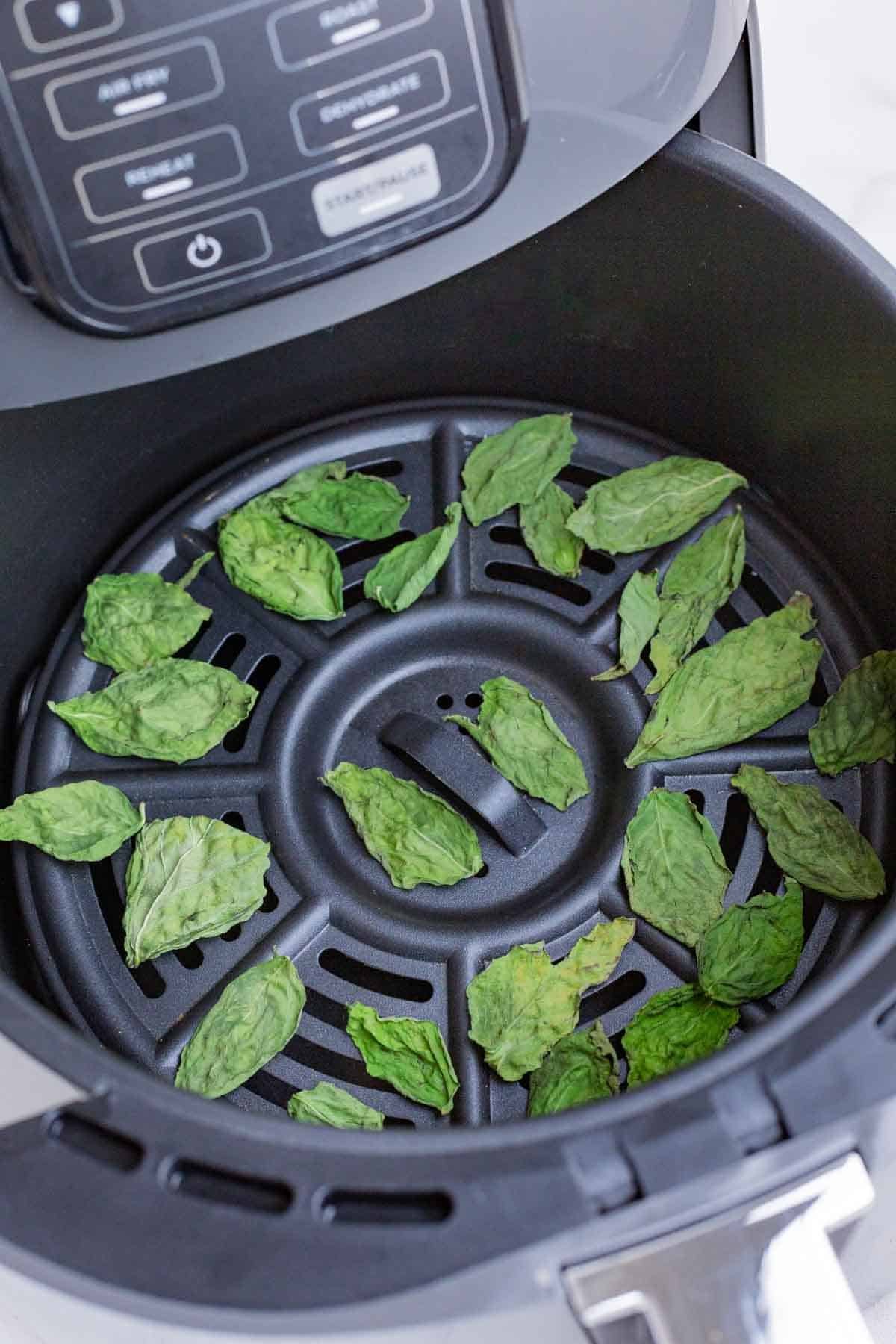 The air fryer is a quick and easy way to dry out basil.