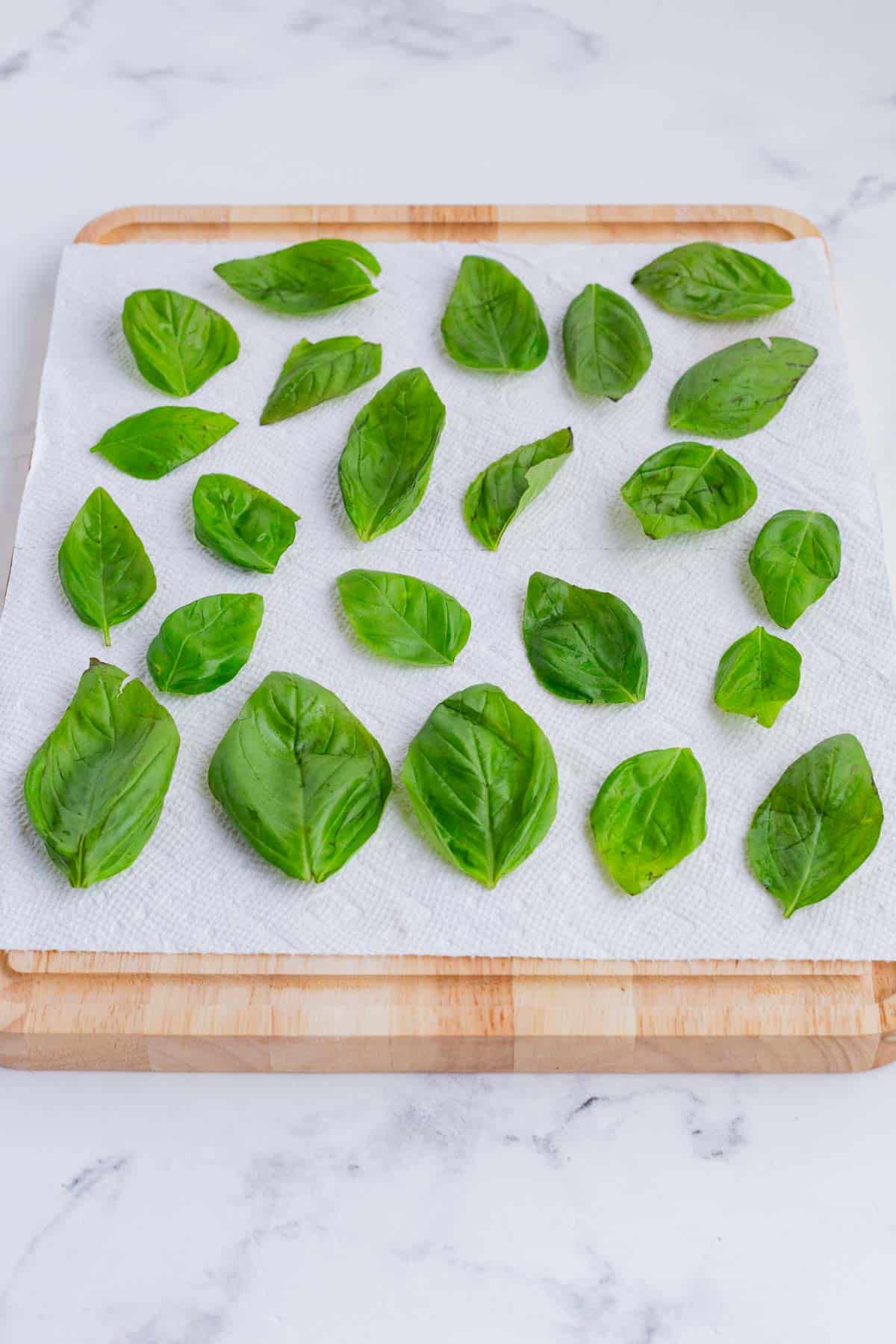 Fresh basil leaves placed on a dry paper towel.