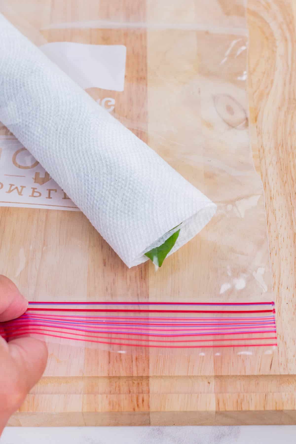 Fresh basil leaves rolled up in a dry paper towel inside a plastic bag.