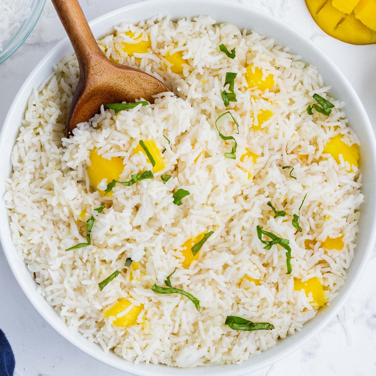 COCONUT RICE