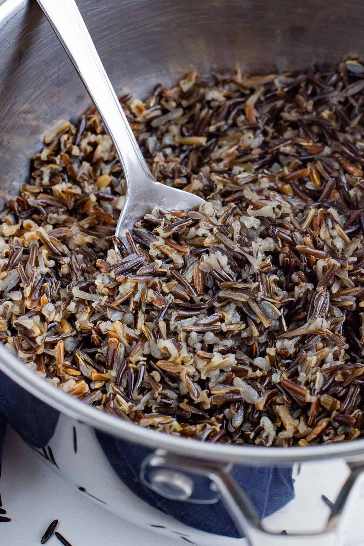 A spoon scoops some wild rice out of a saucepan on the stove.