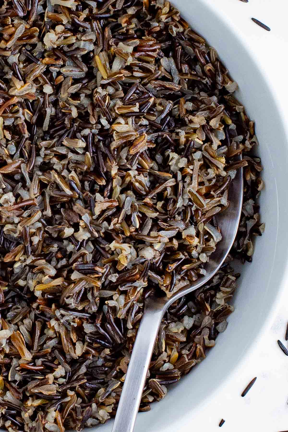 A spoon scoops up cooked wild rice for a healthy side dish.