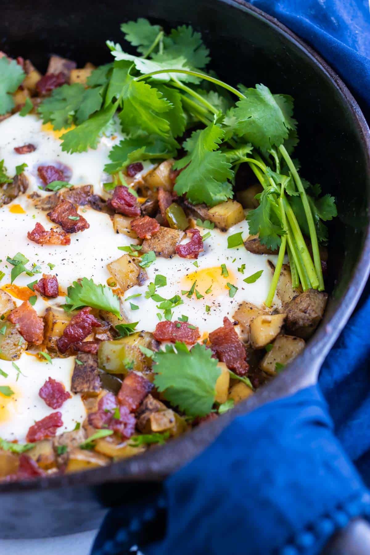 Breakfast hash with eggs is garnished with fresh cilantro or parsley.