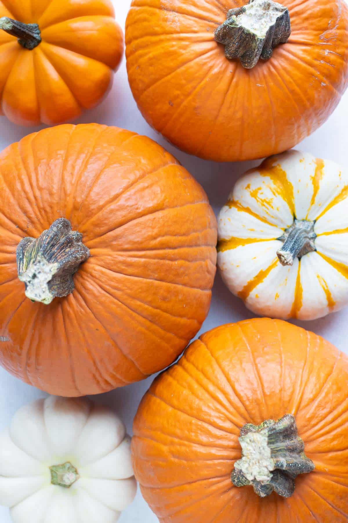 Learn how to make pumpkin puree from different types of pumpkins.