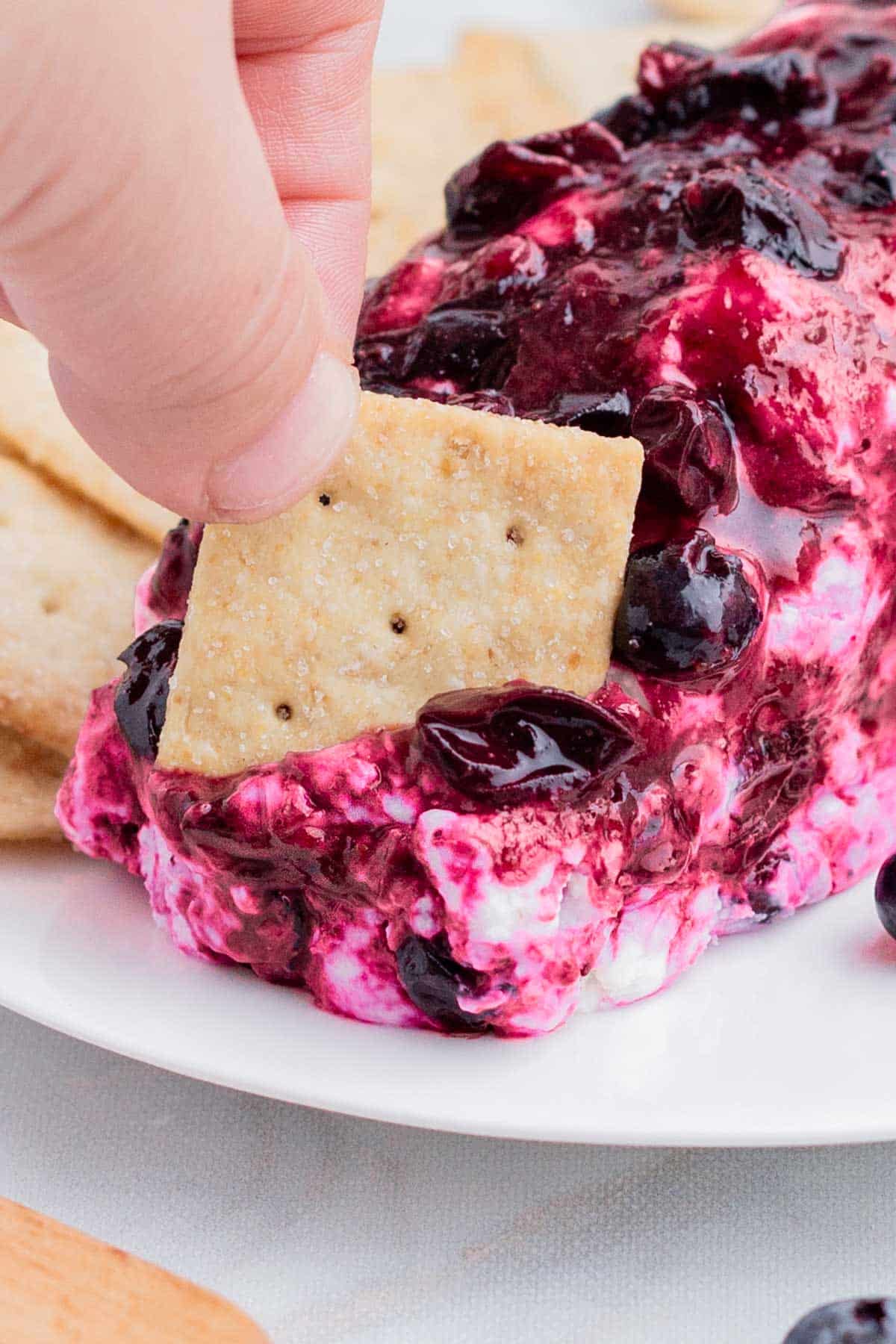 A cracker is dipped into a blueberry goat cheese log.
