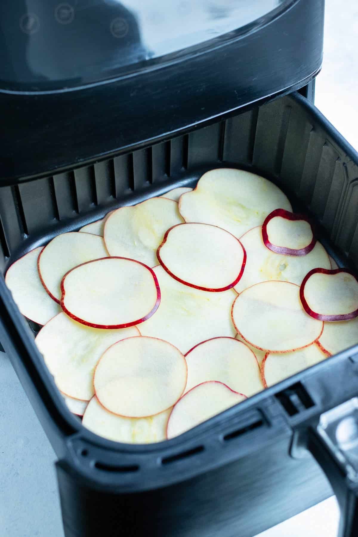 All the apple slices are laid in one layer in the air fryer.